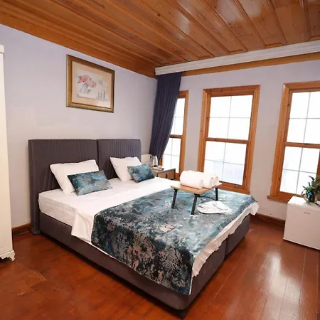 The Trip Anex 3* איסטמבול