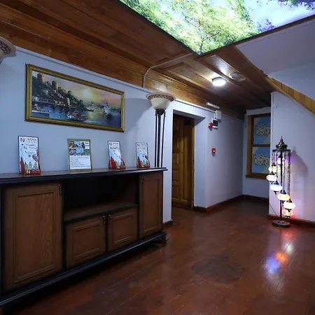 The Trip Anex 3* イスタンブール