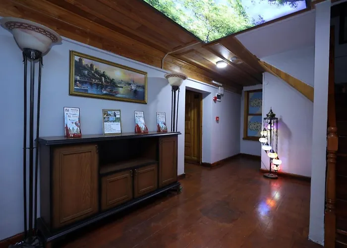 The Trip Anex 3* 이스탄불