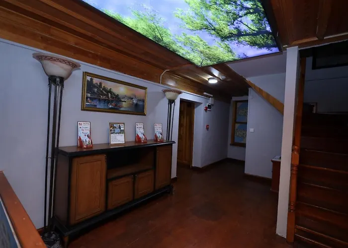 The Trip Anex Stambuł