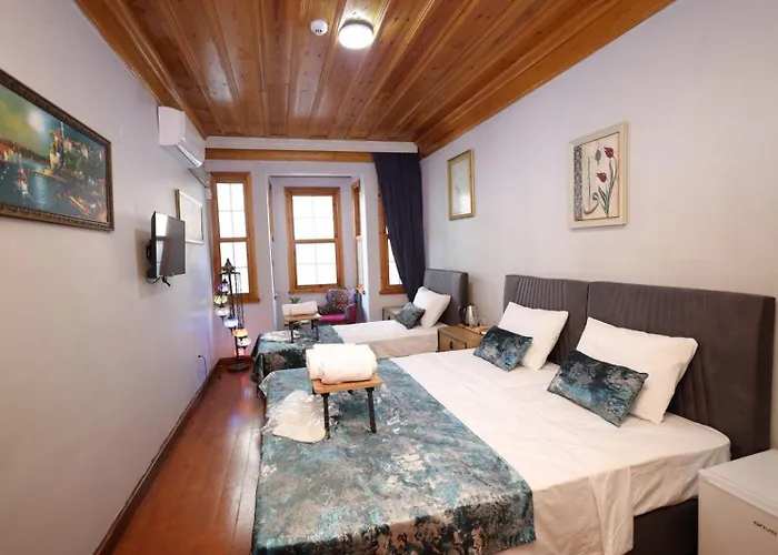 Hotel The Trip Anex Stambuł