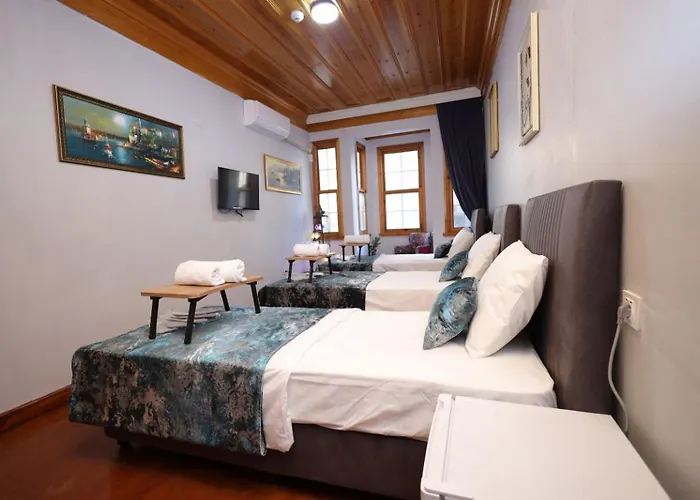 Hotel The Trip Anex Stambuł